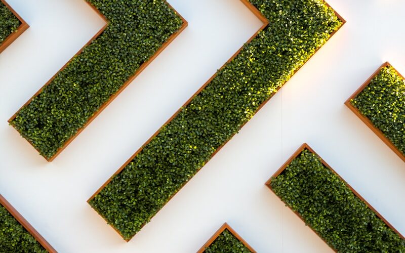 bird's eye view of maze garden